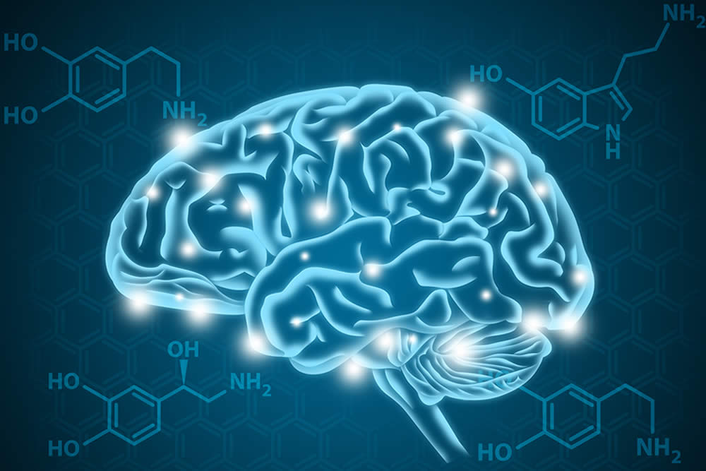 Serotonina 2019 | Cos'è? A Che Serve? Come Aumentare la Serotonina