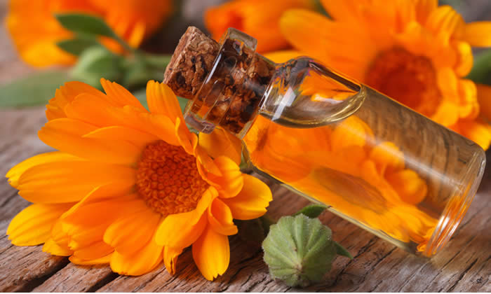 Olio di Calendula: Come si Usa? Proprietà e Ricette Fai da Te
