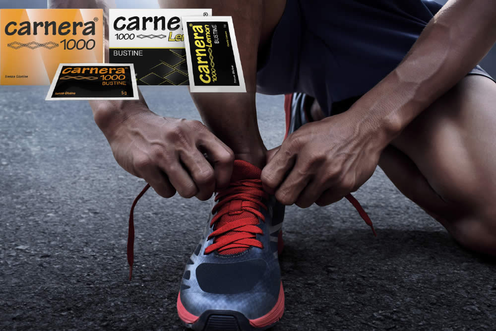 Carnera 1000