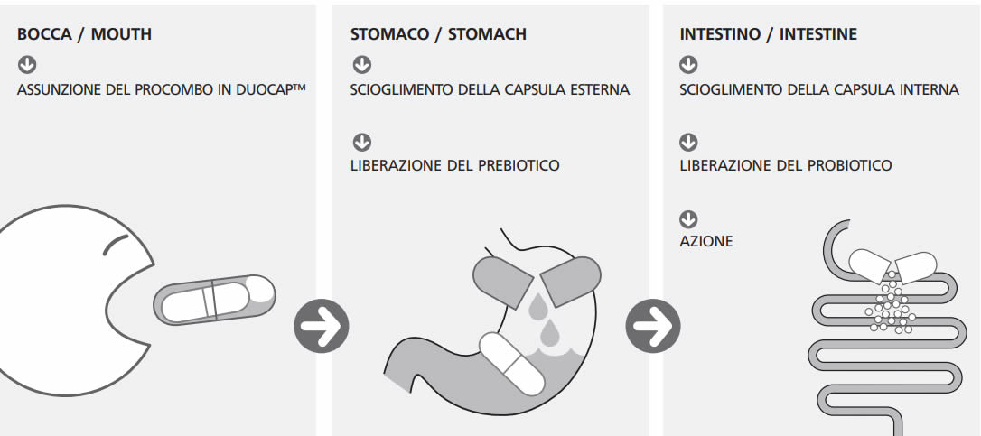 procombo istruzioni