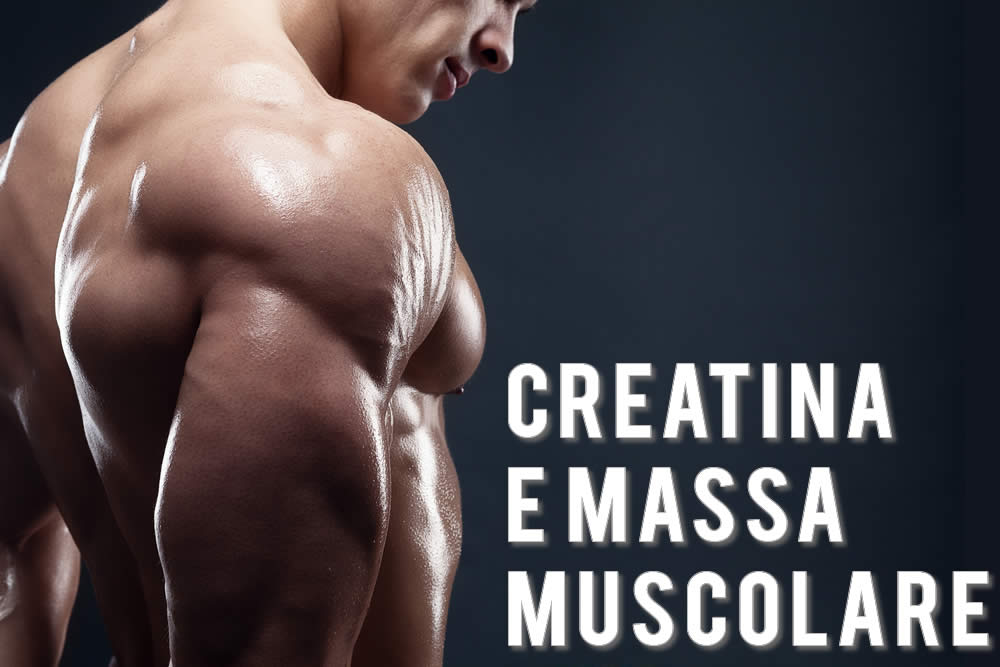 Creatina massa muscolare