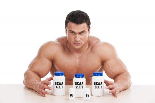 Risultati immagini per bcaa bodybuilder