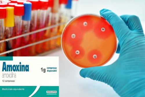 amoxicillina 1000 costo