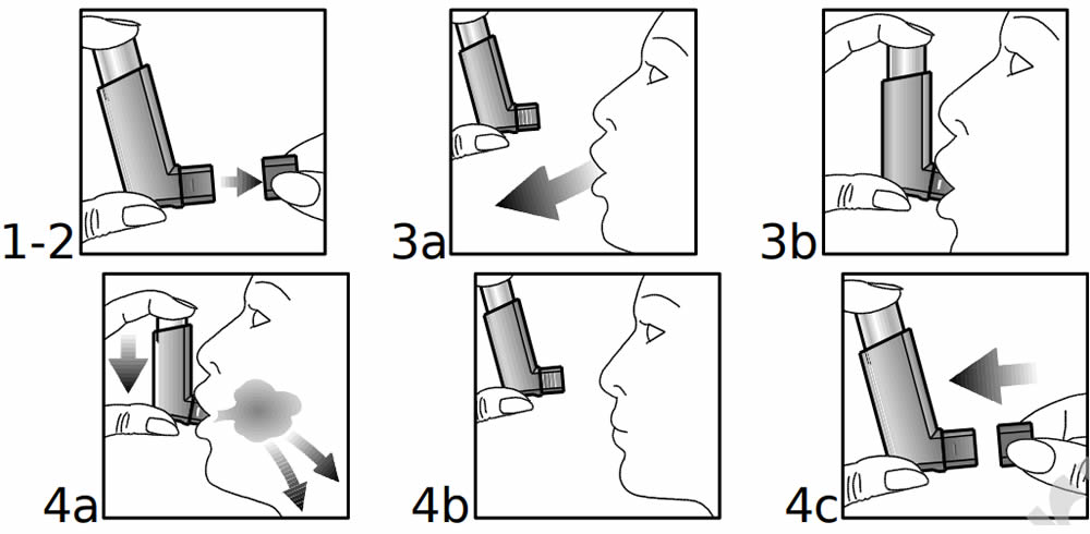 clenil spray istruzioni