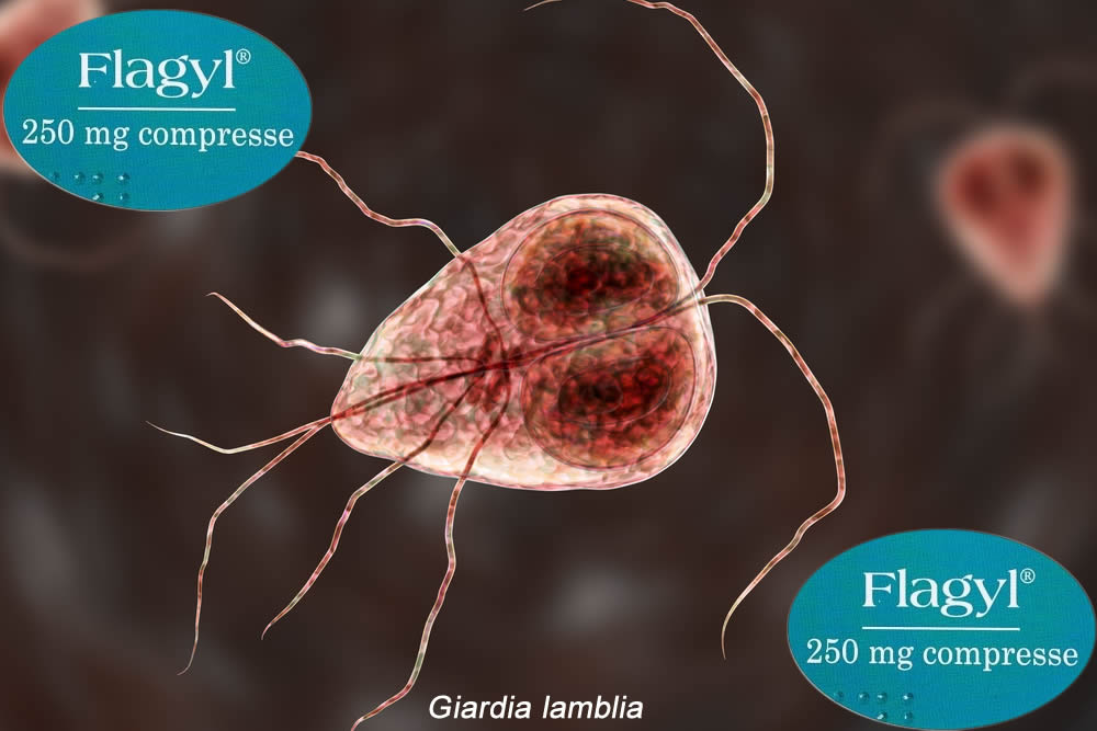 Flagyl 250 mg Compresse