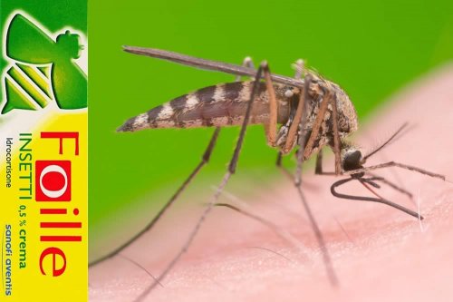 Recensione del Farmaco Foille Insetti: A Cosa Serve? Quando Fa bene? Quando Fa Male? Principio attivo, Dosi e Uso Corretto contro Punture di Insetto, Arrossamenti e Irritazioni Cutanee. Prezzo Foille Insetti, Controindicazioni ed Effetti Collaterali