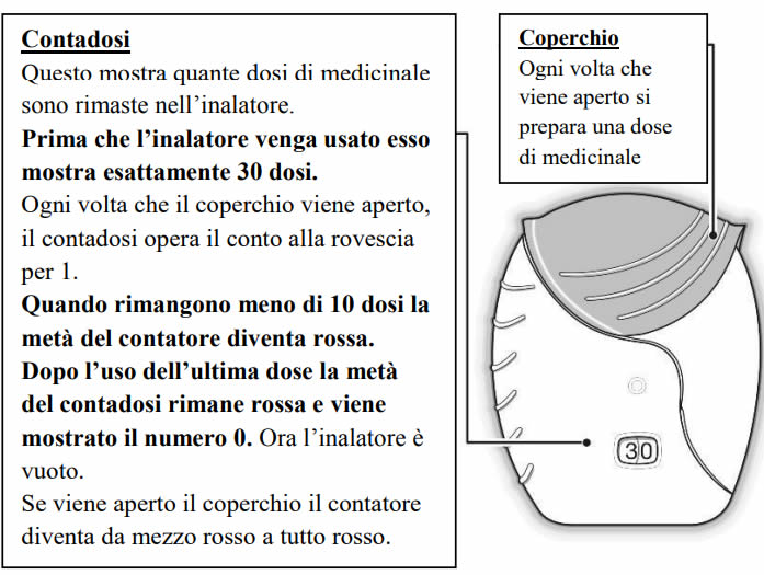 Revinty Istruzioni