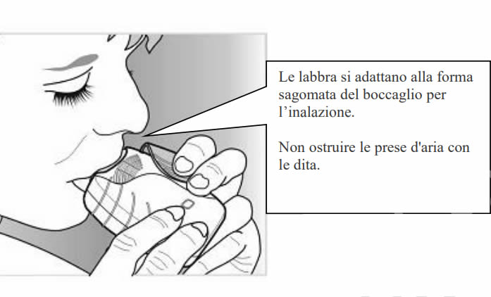 Revinty Istruzioni