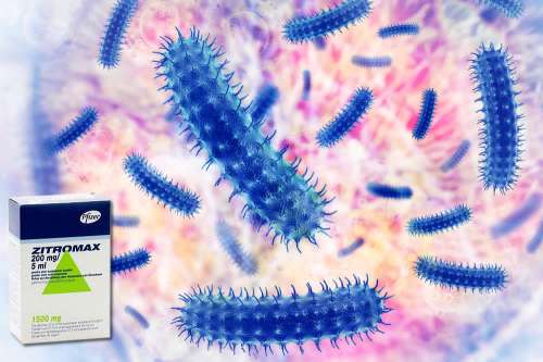 Zitromax Foglio Illustrativo Spiegato Azitromicina