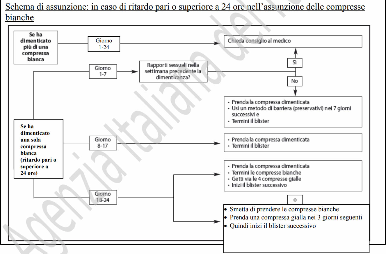 zoely schema istruzioni