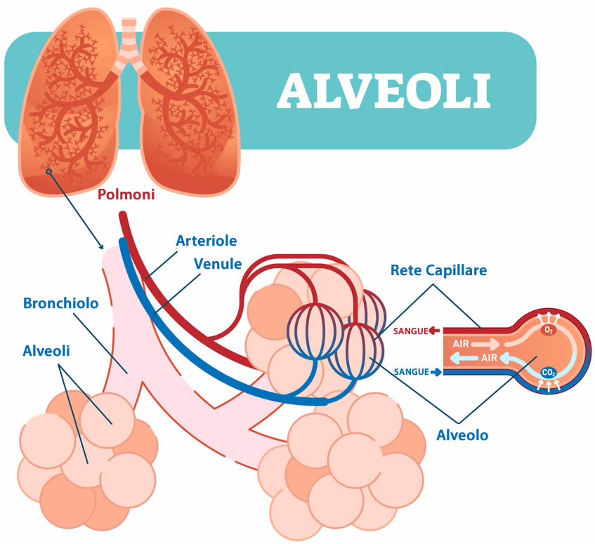 Enfisema Polmonare 2020 | Cause, Sintomi | Cure, Rimedi