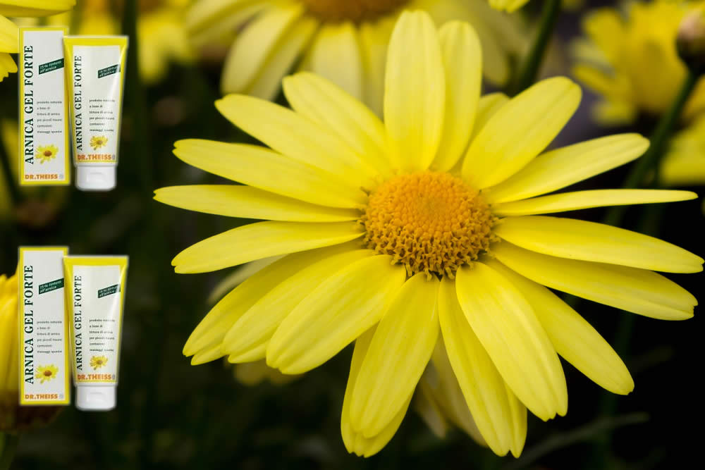 Arnica Gel Forte