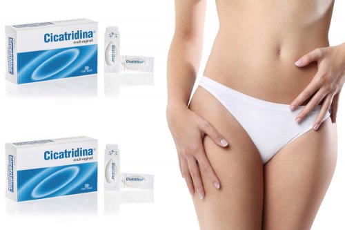 In questa recensione parliamo di Cicatridina Ovuli Vaginali (a base di acido ialuronico ed estratti naturali, utili per favorire i processi riparativi della mucosa vaginale), analizzandone ingredienti, efficacia, modo d'uso ed effetti collaterali