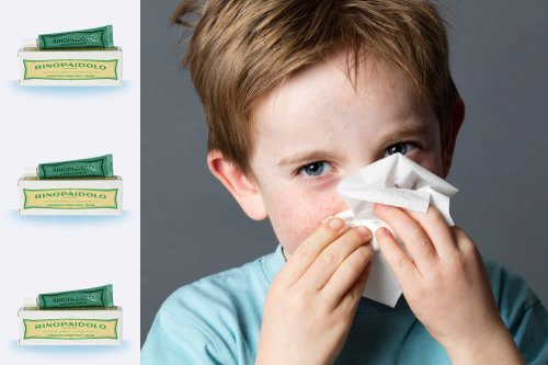 In questa recensione parliamo di Rinopaidolo (dispositivo medico ad azione balsamica, decongestionante e lubrificante contro il raffreddore), analizzandone ingredienti, composizione, efficacia, modo d'uso, controindicazioni, prezzo ed effetti collaterali