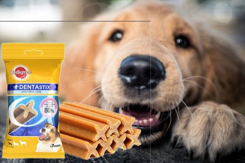 Dentastix 2020 Cos E A Che Serve Fa Male Uso Opinioni