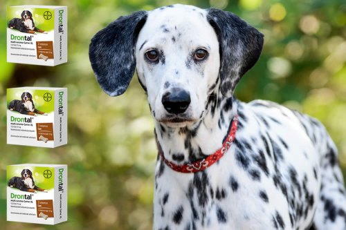 prodotti animali carne disfunzione erettile